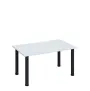 G-43 Konferenční stolek 1000 x 600 mm, deska 18 mm, bílá / nohy černé RAL9005
