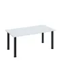 G-43 Konferenční stolek 1200 x 600 mm, deska 18 mm, bílá / nohy černé RAL9005