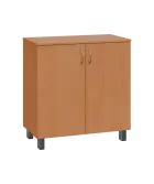 SN 2 - 8D kancelářská skříň, 2-dveřová, 832x800x400, buk royal