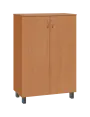 SN 3 - 8D kancelářská skříň, 2-dveřová, 1180x800x400, buk royal