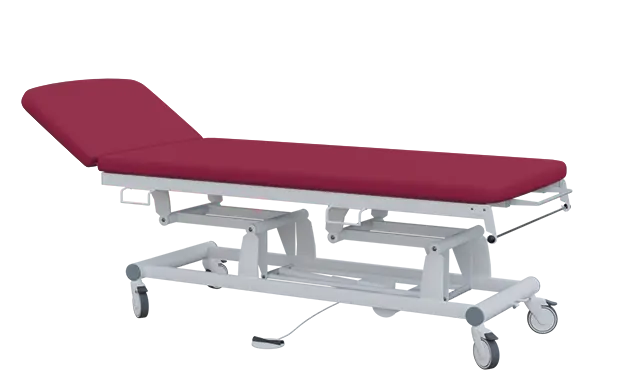 EUROMEDICA - 11 lehátko elektricky stavitelné, 2-segmentové s nožním ovladačem (1 motor), vínové č. 18