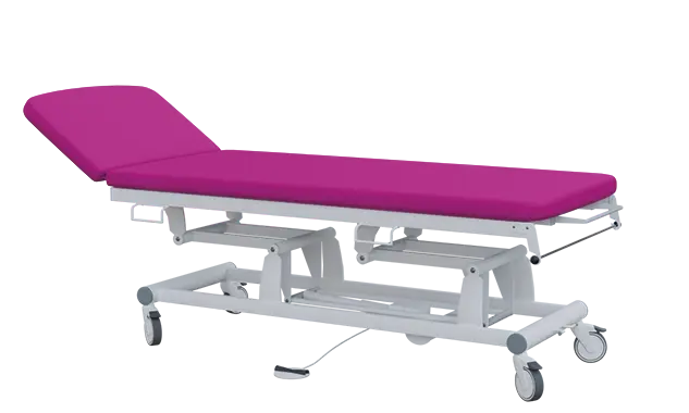 EUROMEDICA - 11 lehátko elektricky stavitelné, 2-segmentové s nožním ovladačem (1 motor), purpurové č. 19