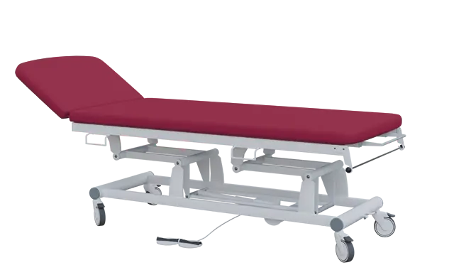 EUROMEDICA - 12 lehátko elektricky stavitelné, 2-segmentové s nožním ovladačem (2 motory), vínové č. 18