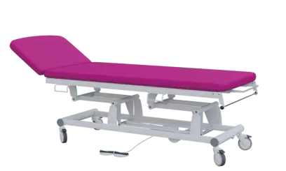 EUROMEDICA - 12 lehátko elektricky stavitelné, 2-segmentové s nožním ovladačem (2 motory), purpurové č. 19