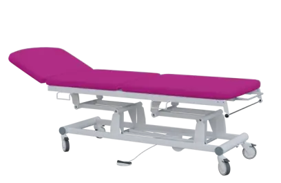 EUROMEDICA - 13 lehátko elektricky stavitelné, 3-segmentové s nožním ovladačem (1 motor), purpurové č. 19