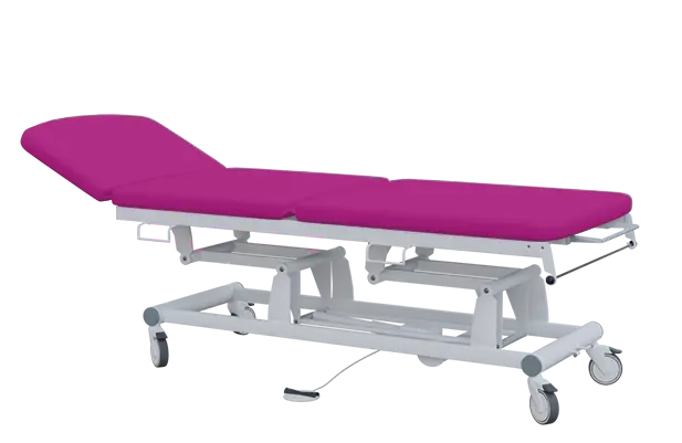 EUROMEDICA - 13 lehátko elektricky stavitelné, 3-segmentové s nožním ovladačem (1 motor), purpurové č. 19