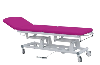 EUROMEDICA - 14 lehátko elektricky stavitelné, 3-segmentové s nožním ovladačem (2 motory), purpurové č. 19