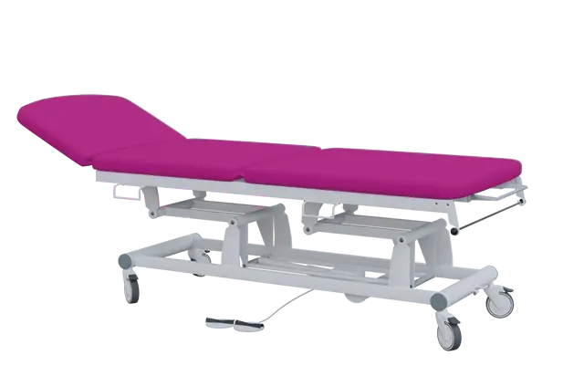 EUROMEDICA - 14 lehátko elektricky stavitelné, 3-segmentové s nožním ovladačem (2 motory), purpurové č. 19