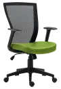 SUZANE, kancelářská židle, koženka P17 zelená