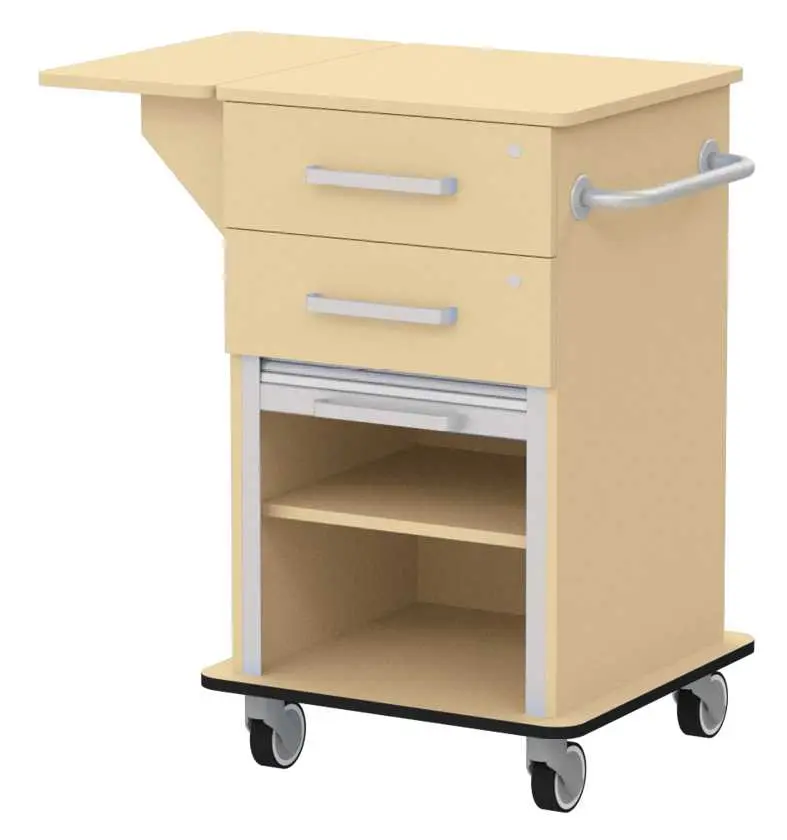 VIZITA 01 R mobilní vozík vizitový, korpus javor horský, čílka javor horský