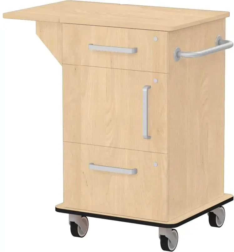 VIZITA 03 D mobilní vozík vizitový, korpus javor horský, čílka javor horský