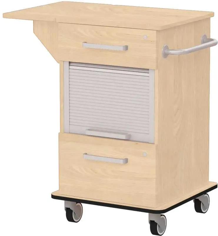 VIZITA 03 R mobilní vozík vizitový, korpus javor horský, čílka javor horský