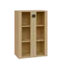 TN 3 - 7S kancelářská skříň, 2-dveřová/prosklená, 1107x720x400, javor horský