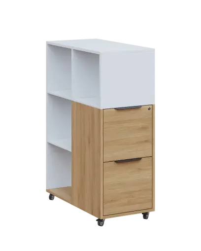 AERO 31 kancelářská skříň, 2-zásuvková/4 niky, 1100x400x800, kolečka, platinově bílá/dub fjord