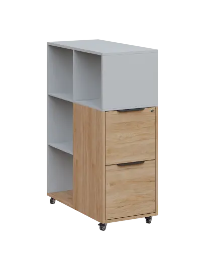 AERO 31 kancelářská skříň, 2-zásuvková/4 niky, 1100x400x800, kolečka, šedá/dub hickory