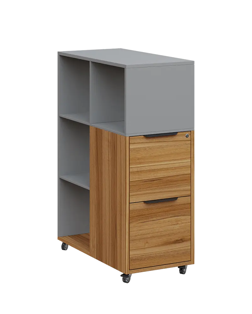 AERO 31 kancelářská skříň, 2-zásuvková/4 niky, 1100x400x800, kolečka, chinchilla šedá/ořech světlý