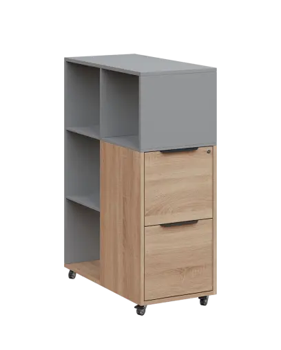 AERO 31 kancelářská skříň, 2-zásuvková/4 niky, 1100x400x800, kolečka, chinchilla šedá/dub bardolino