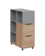 AERO 31 kancelářská skříň, 2-zásuvková/4 niky, 1100x400x800, kolečka, chinchilla šedá/dub bardolino