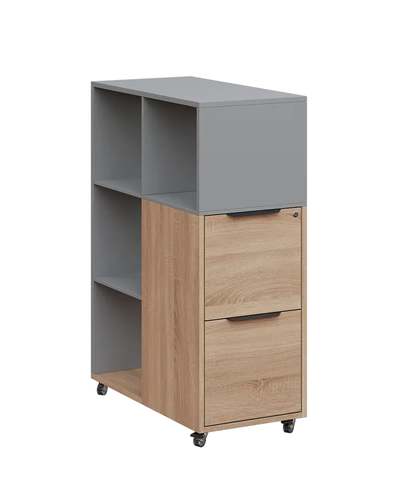 AERO 31 kancelářská skříň, 2-zásuvková/4 niky, 1100x400x800, kolečka, chinchilla šedá/dub bardolino