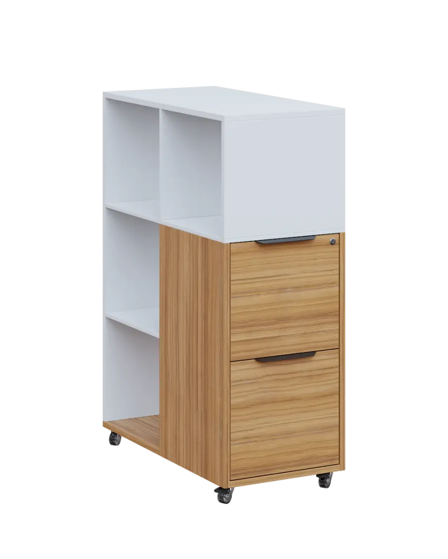 AERO 31 kancelářská skříň, 2-zásuvková/4 niky, 1100x400x800, kolečka, platinově bílá/coco bolo