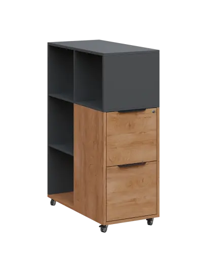 AERO 31 kancelářská skříň, 2-zásuvková/4 niky, 1100x400x800, kolečka, antracit/dub klasik