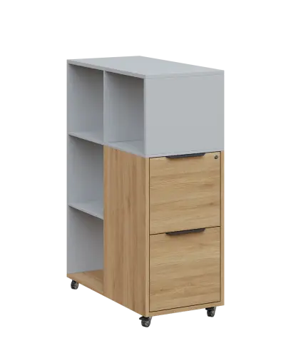 AERO 31 kancelářská skříň, 2-zásuvková/4 niky, 1100x400x800, kolečka, šedá/dub fjord