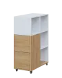 AERO 32 L kancelářská skříň, 2-dveřová/4 niky, levá, 1100x400x800, kolečka, platinově bílá/dub fjord