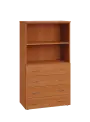 ENP 4 - 84ZN2 kancelářská skříň, 4-zásuvková/nika, 1450x800x400, olše jantar