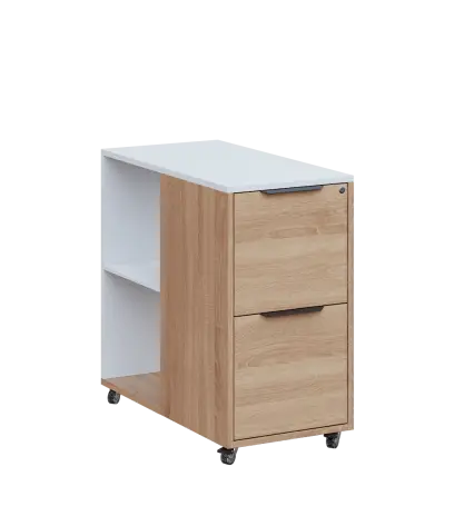 AERO 21 kancelářská skříň, 2-zásuvková/2 niky, 750x400x800, kolečka, platinově bílá/dub bardolino AERO 21 kancelářská skříň, 2-zásuvková/2 niky, 750x400x800, kolečka, platinově bílá/dub bardolino