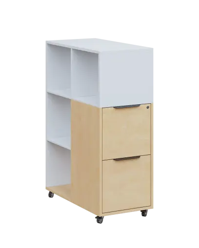 AERO 31 kancelářská skříň, 2-zásuvková/4 niky, 1100x400x800, kolečka, platinově bílá/bříza irská AERO 31 kancelářská skříň, 2-zásuvková/4 niky, 1100x400x800, kolečka, platinově bílá/bříza irská