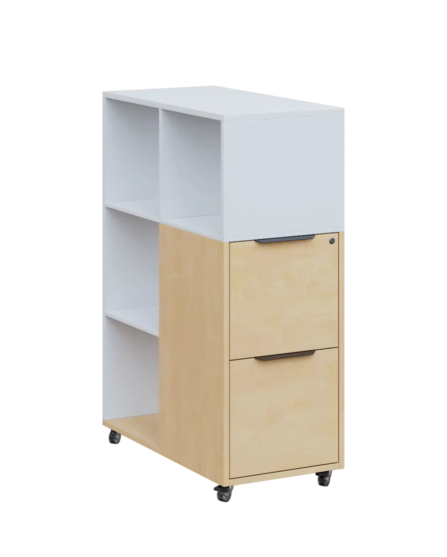 AERO 31 kancelářská skříň, 2-zásuvková/4 niky, 1100x400x800, kolečka, platinově bílá/bříza irská