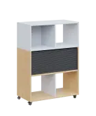 AERO 35 kancelářská skříň, roletková/4 niky, 1100x800x400, kolečka, platinově bílá/bříza irská