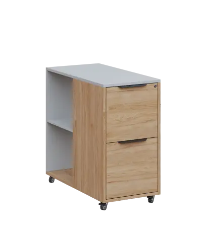 AERO 21 kancelářská skříň, 2-zásuvková/2 niky, 750x400x800, kolečka, šedá/dub hickory