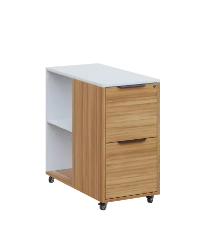 AERO 21 kancelářská skříň, 2-zásuvková/2 niky, 750x400x800, kolečka, platinově bílá/coco bolo