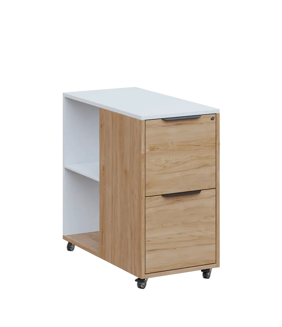 AERO 21 kancelářská skříň, 2-zásuvková/2 niky, 750x400x800, kolečka, platinově bílá/dub hickory