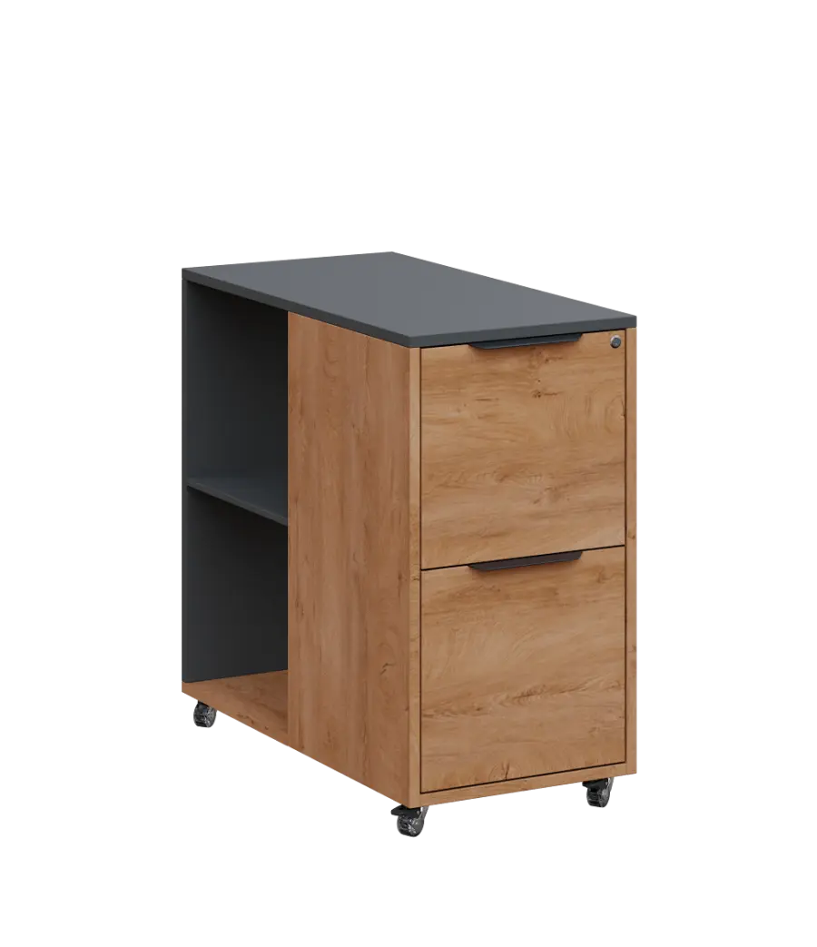 AERO 21 kancelářská skříň, 2-zásuvková/2 niky, 750x400x800, kolečka, antracit/dub klasik