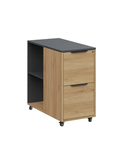 AERO 21 kancelářská skříň, 2-zásuvková/2 niky, 750x400x800, kolečka, antracit/dub fjord