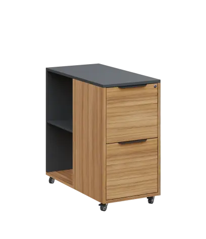 AERO 21 kancelářská skříň, 2-zásuvková/2 niky, 750x400x800, kolečka, antracit/coco bolo