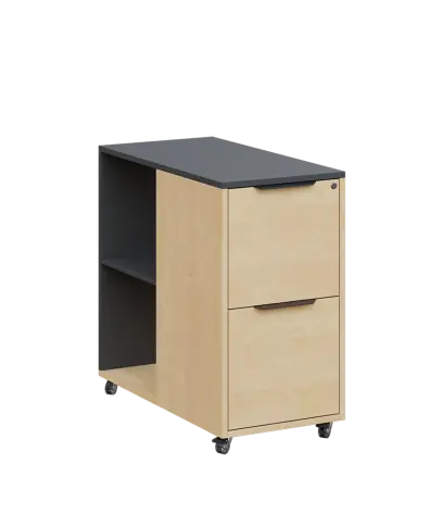 AERO 21 kancelářská skříň, 2-zásuvková/2 niky, 750x400x800, kolečka, antracit/bříza irská AERO 21 kancelářská skříň, 2-zásuvková/2 niky, 750x400x800, kolečka, antracit/bříza irská