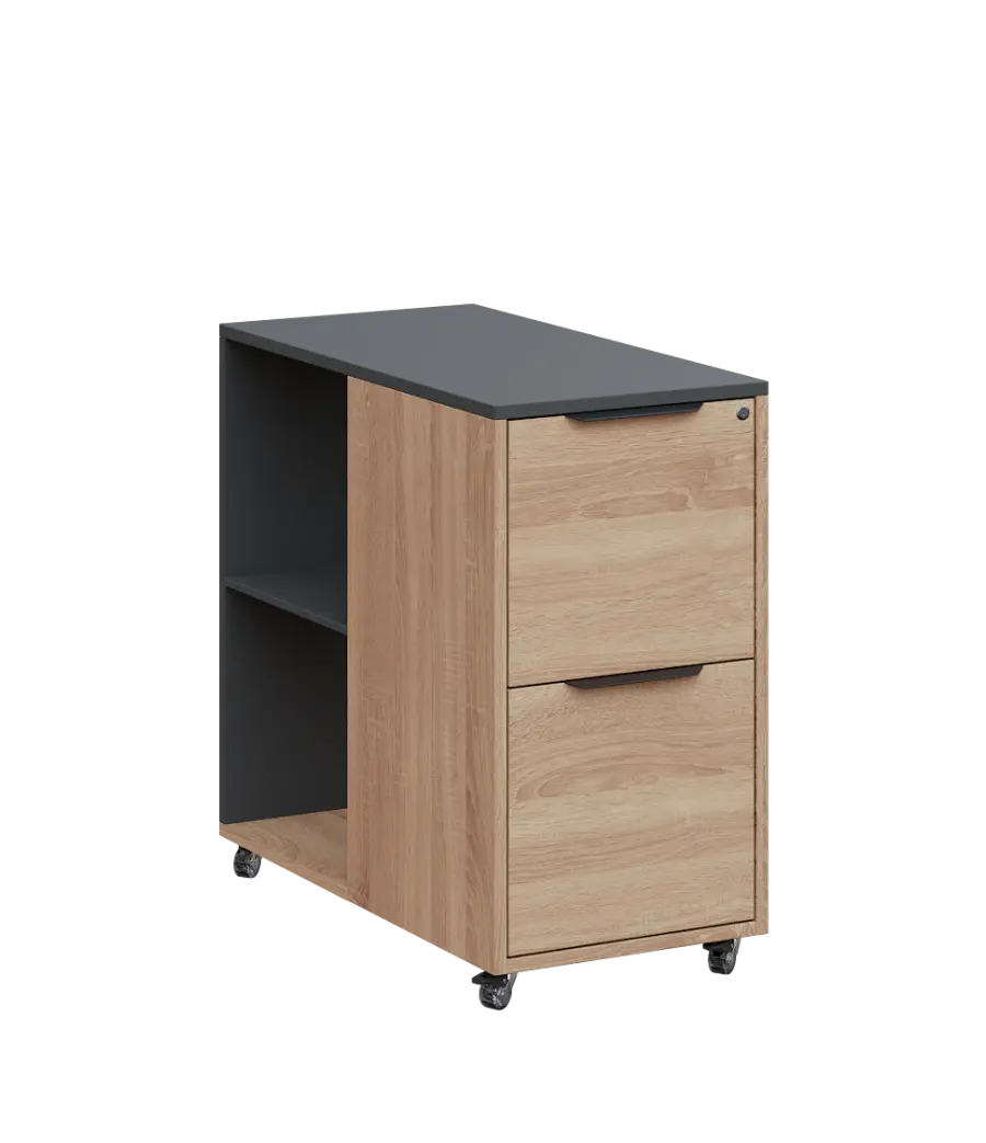 AERO 21 kancelářská skříň, 2-zásuvková/2 niky, 750x400x800, kolečka, antracit/dub bardolino