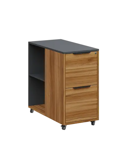 AERO 21 kancelářská skříň, 2-zásuvková/2 niky, 750x400x800, kolečka, antracit/ořech světlý AERO 21 kancelářská skříň, 2-zásuvková/2 niky, 750x400x800, kolečka, antracit/ořech světlý