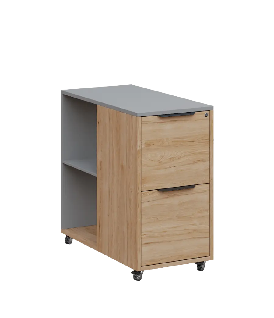 AERO 21 kancelářská skříň, 2-zásuvková/2 niky, 750x400x800, kolečka, chinchilla šedá/dub hickory