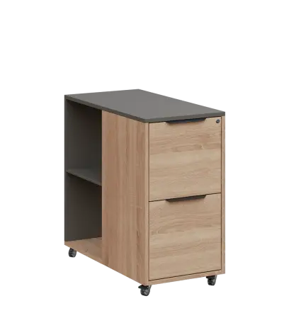 AERO 21 kancelářská skříň, 2-zásuvková/2 niky, 750x400x800, kolečka, lávově šedá/dub bardolino