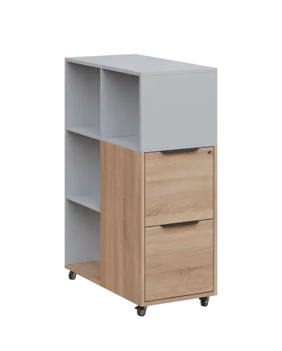 AERO 31 kancelářská skříň, 2-zásuvková/4 niky, 1100x400x800, kolečka, šedá/dub bardolino