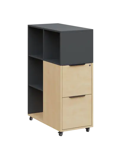 AERO 31 kancelářská skříň, 2-zásuvková/4 niky, 1100x400x800, kolečka, antracit/bříza irská