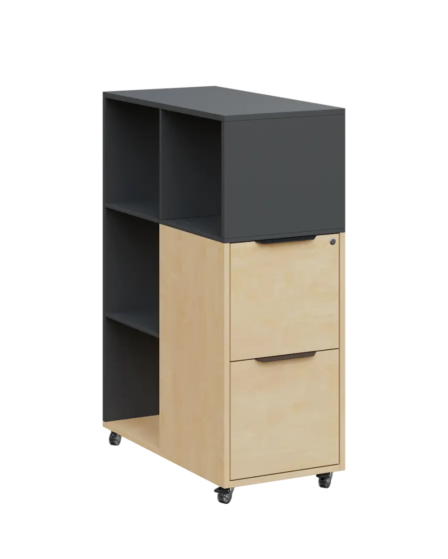 AERO 31 kancelářská skříň, 2-zásuvková/4 niky, 1100x400x800, kolečka, antracit/bříza irská