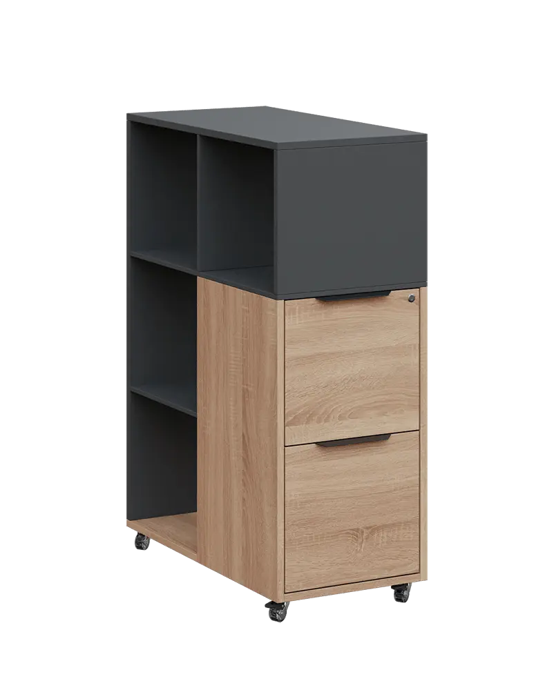 AERO 31 kancelářská skříň, 2-zásuvková/4 niky, 1100x400x800, kolečka, antracit/dub bardolino