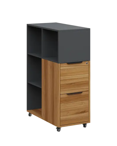 AERO 31 kancelářská skříň, 2-zásuvková/4 niky, 1100x400x800, kolečka, antracit/ořech světlý