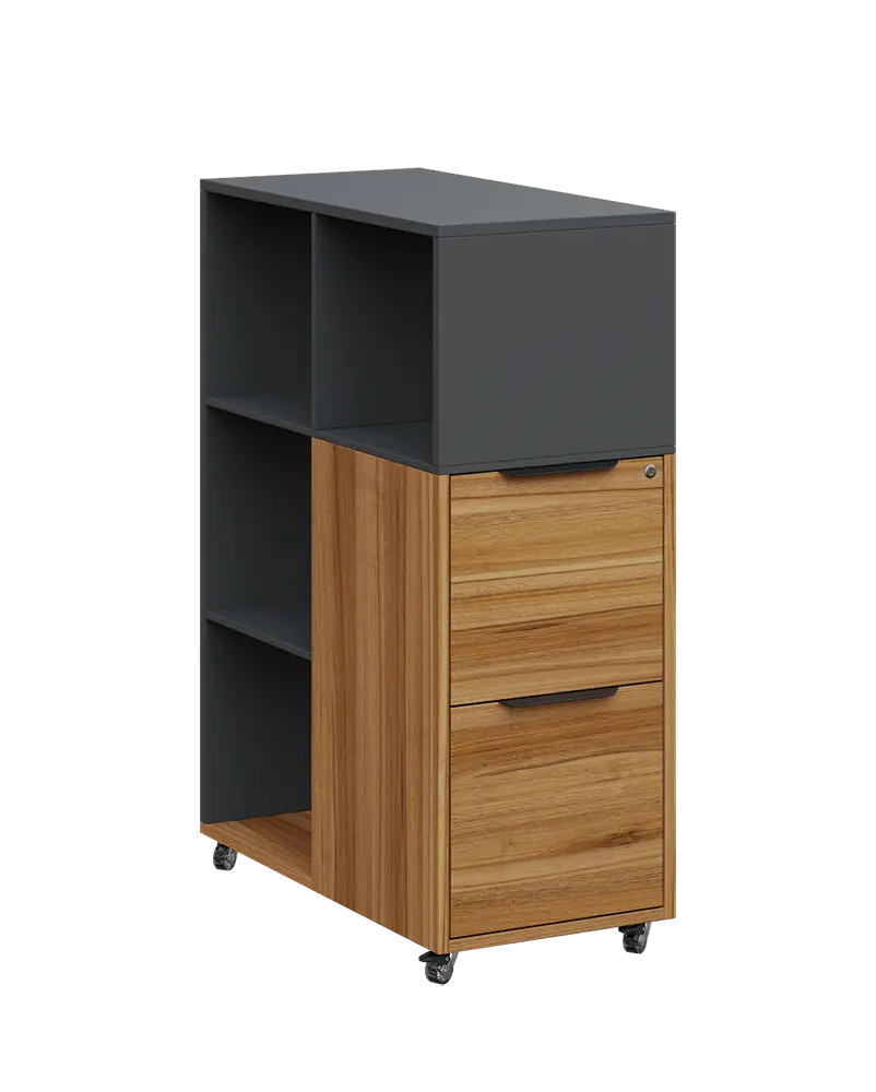 AERO 31 kancelářská skříň, 2-zásuvková/4 niky, 1100x400x800, kolečka, antracit/ořech světlý