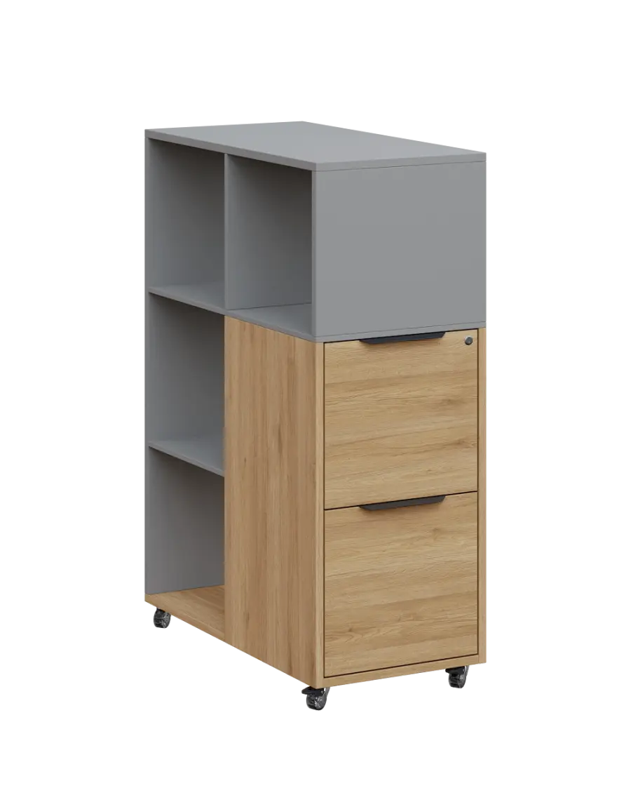 AERO 31 kancelářská skříň, 2-zásuvková/4 niky, 1100x400x800, kolečka, chinchilla šedá/dub fjord